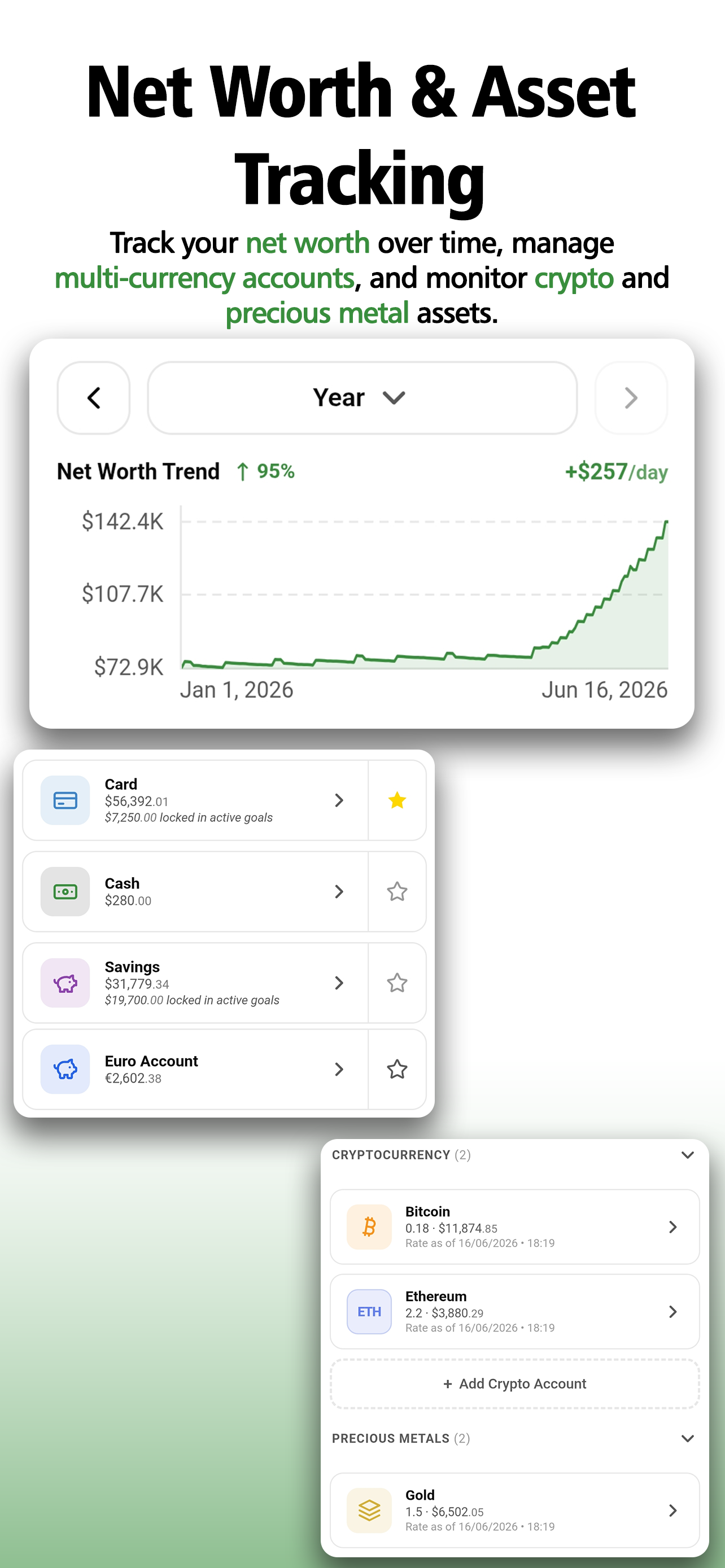 Net worth trend chart with multi-currency accounts, crypto and metals